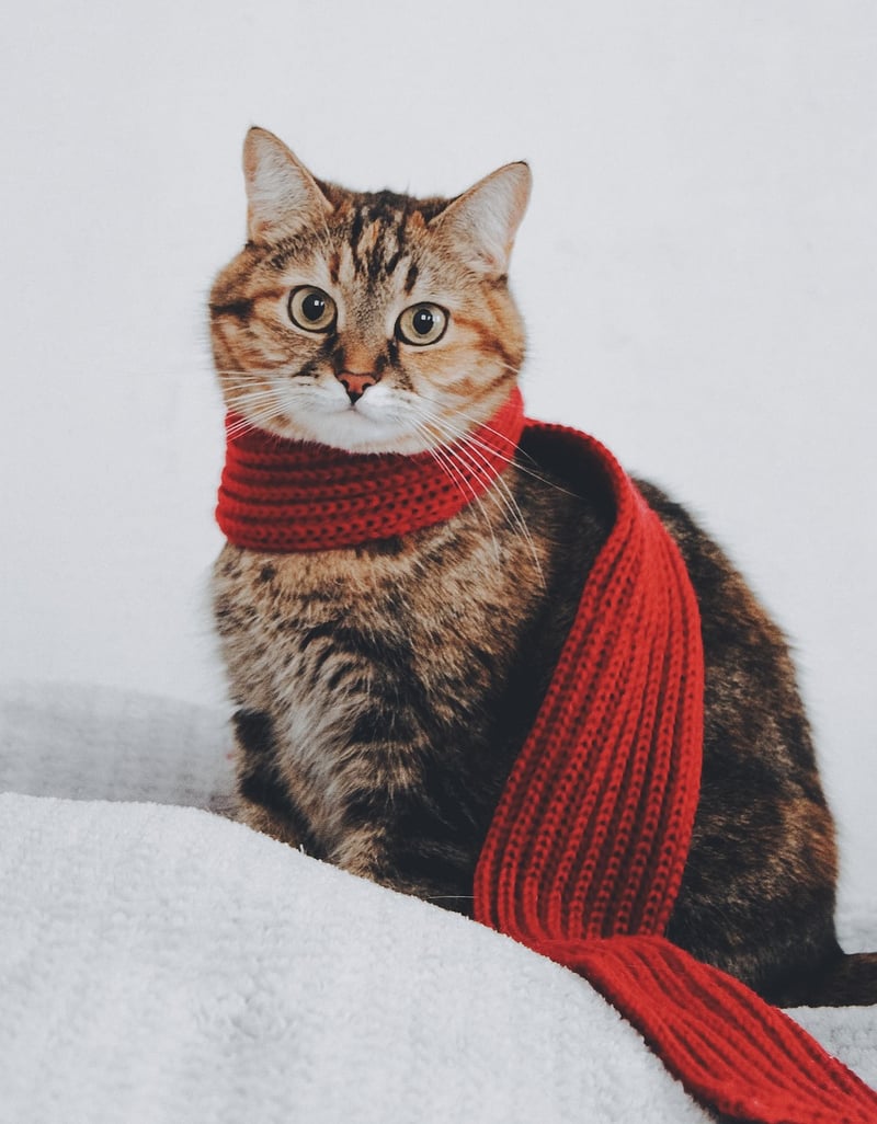Recycled scarf